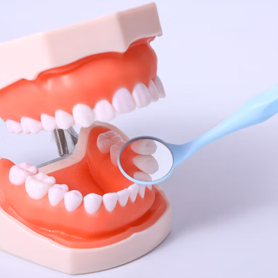 Plastic One-Time Inspection Disposable Dental Mouth Mirror for Dentist