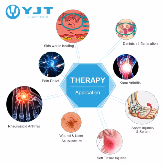 레이저 건강 관리 10 기능을 가진 진통을 위한 휴대용 저수준 레이저 치료 기계